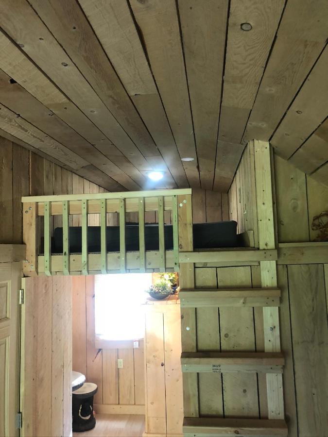 The Hideaway Tiny Cabin East Durham Luaran gambar